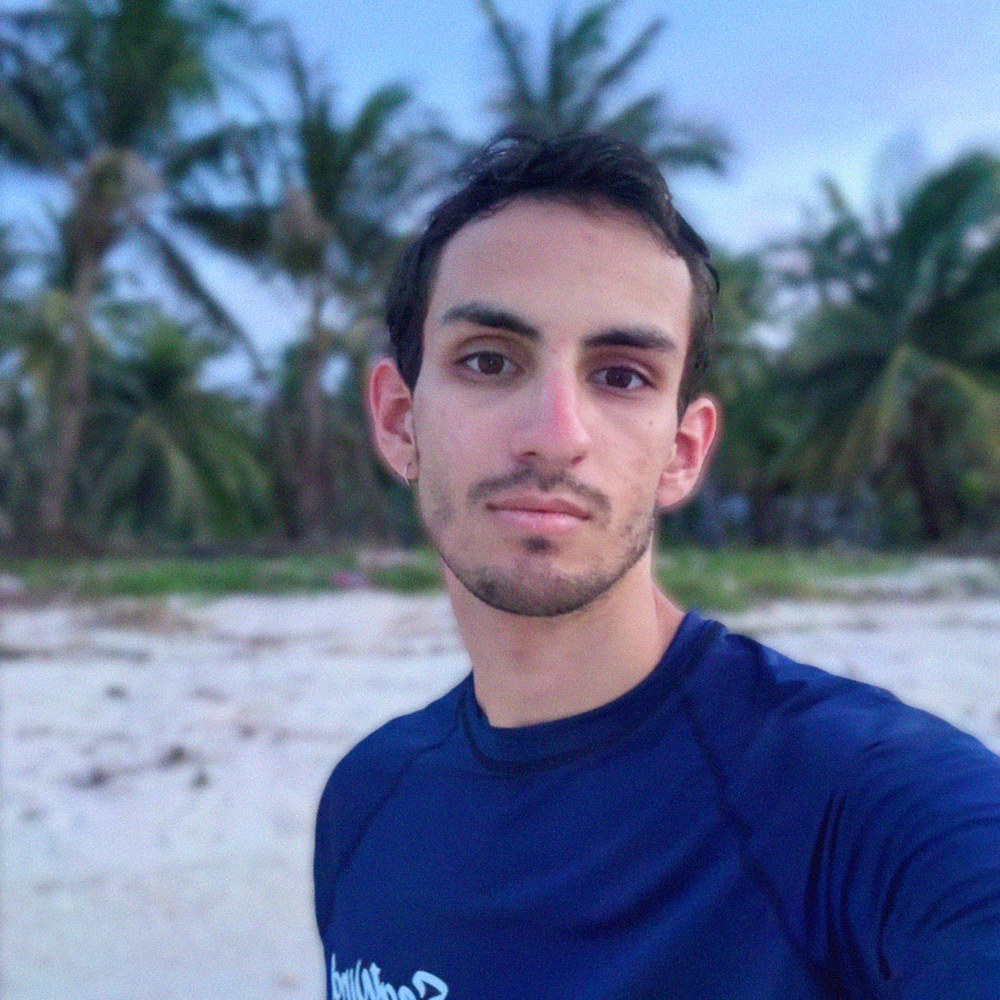 Ян Шмидт - фото 1